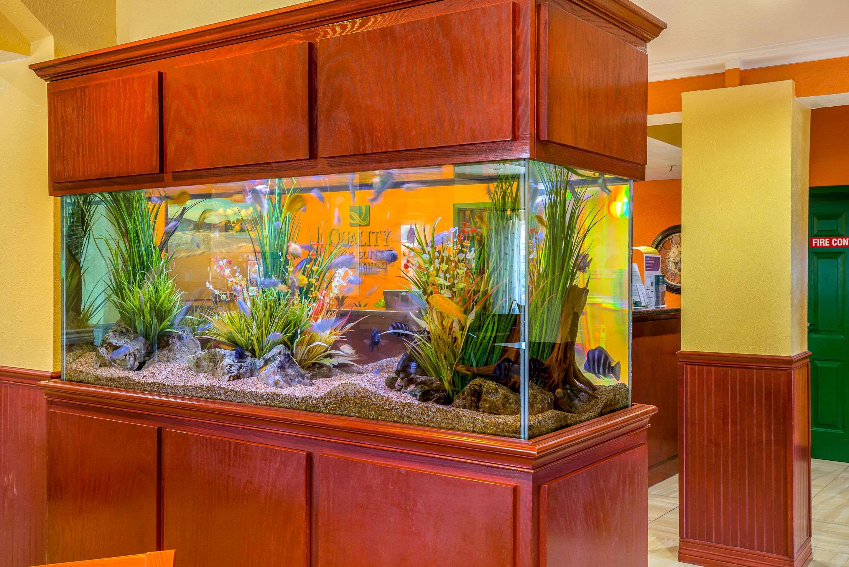 Quality Inn & Suites Galveston - Beachfront מראה חיצוני תמונה